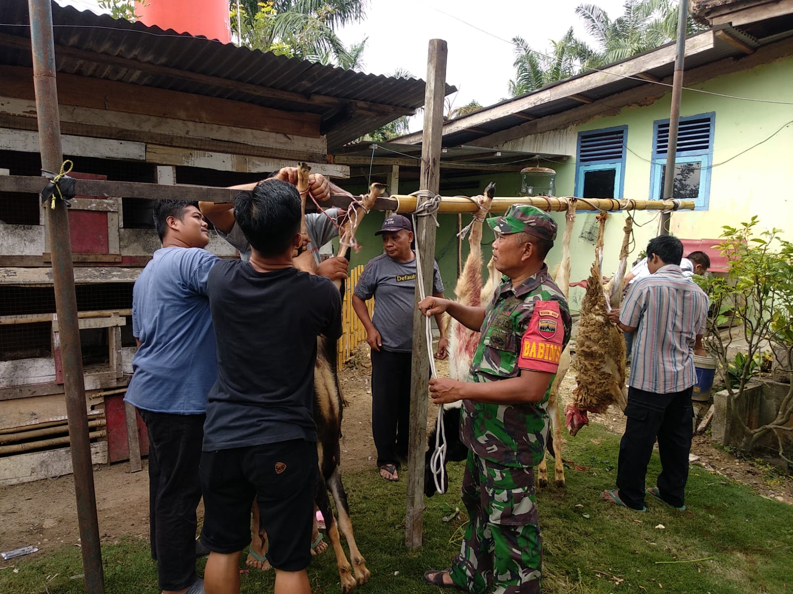 Idul Adha 1443 H,Babinsa Koramil 09/Langgam Bantu Warga Sembelih Hewan Qurban