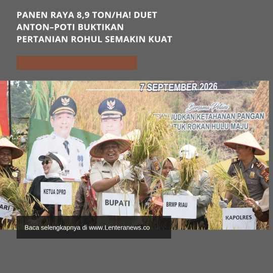 Panen Raya 8,9 Ton/Ha Duet Anton Poti Buktikan Pertanian Rohul Semakin Kuat