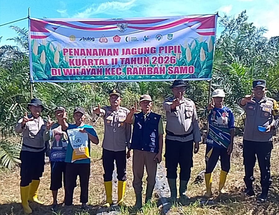 Dukung Ketahanan Pangan Nasional, Polsek Rambah Samo Tanam Jagung 1,5 Hektare di Rokan Hulu