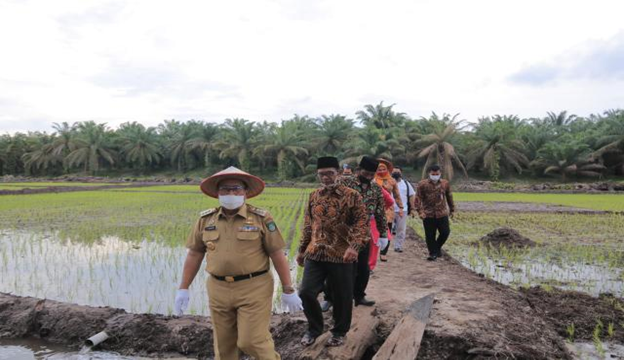 Bupati Sukiman Apresiasi Pemdes Sukadamai Program Cetak Sawah Baru