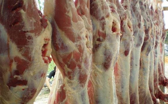 Tips Cara Simpan Daging Kurban yang Tepat