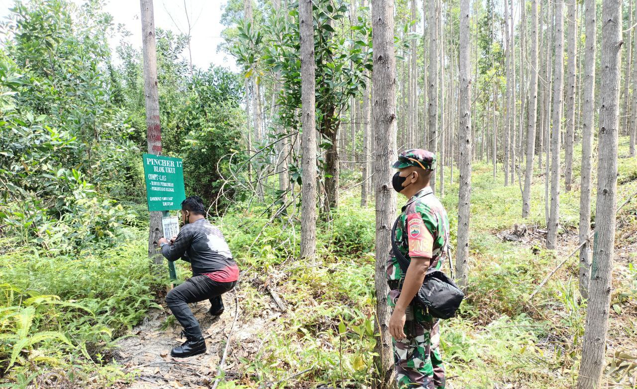 Babinsa Koramil 04/PKL Kuras Cegah Karhutla Dengan Rutin Patroli dan Sosialisasi