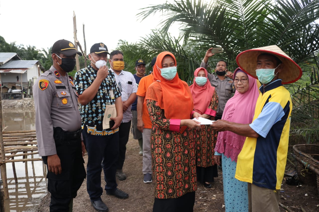 Jaga Ketahanan Pangan Dimasa Convid 19, Ketua TP PKK Siak Kunjungi Kebun Percontohan