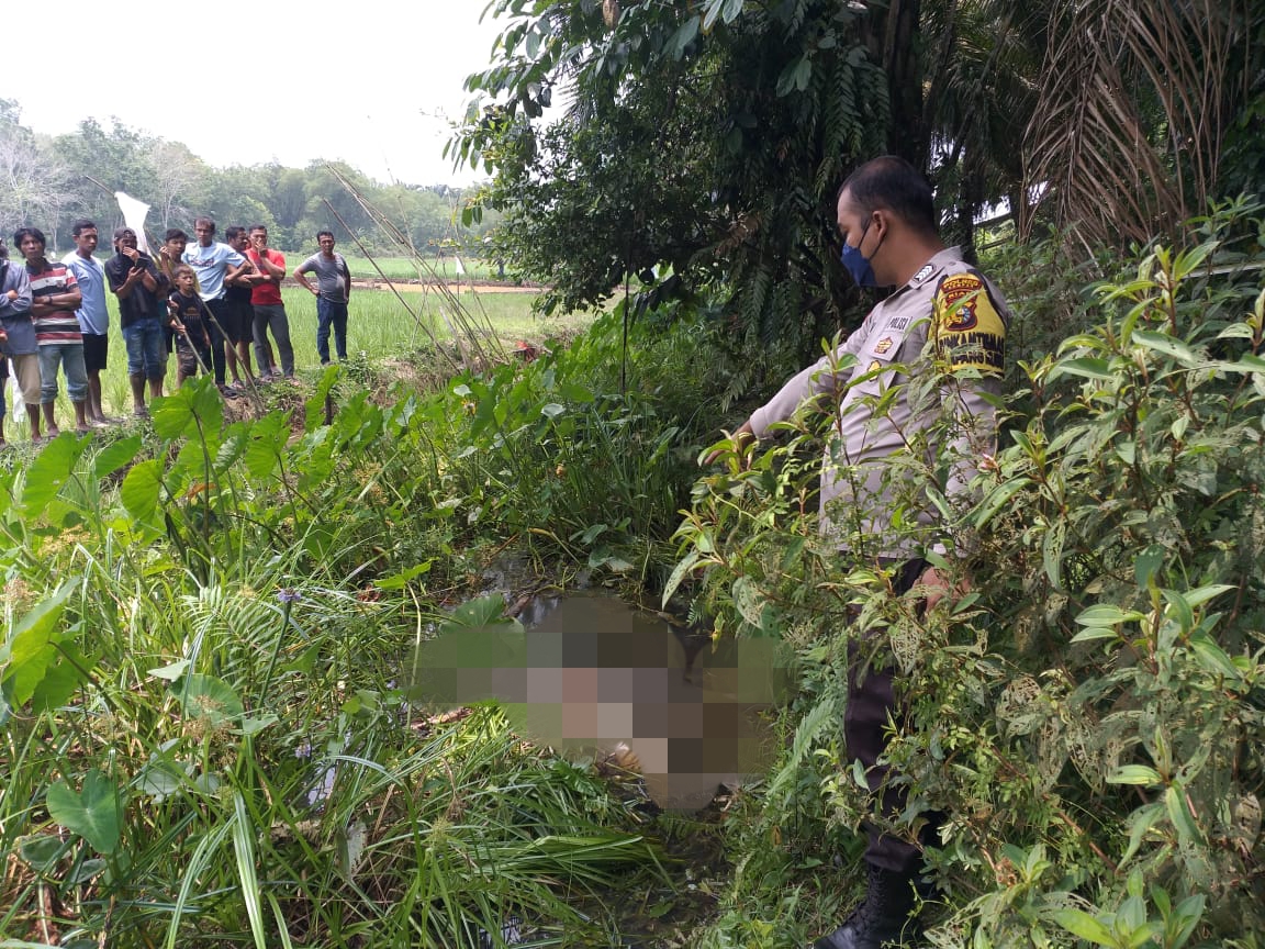 Polisi Masih Selidiki Identitas, Sesosok Mayat yang Ditemukan Dalam Parit di Kampar Utara