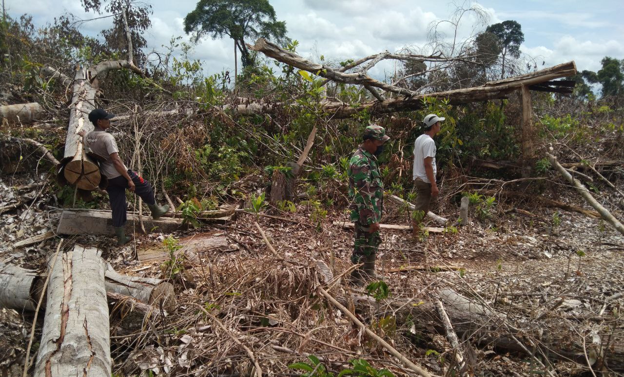 Waspada Kebakaran, Babinsa Koramil 04/Pkl Kuras Lakukan Patroli Karhutla
