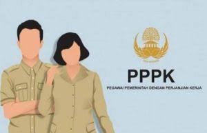 PPPK Yang Lulus Seleksi di Kampar, Tinggal Menunggu Penyerahan SK dan Penempatan, Ini Kata Aidil