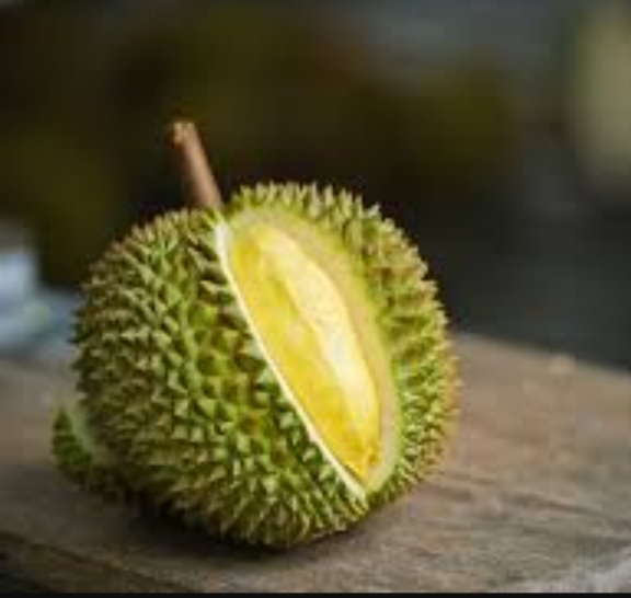 Varietas Durian Kampar Akan di Kembangkang Dinas Pertanian Kampar