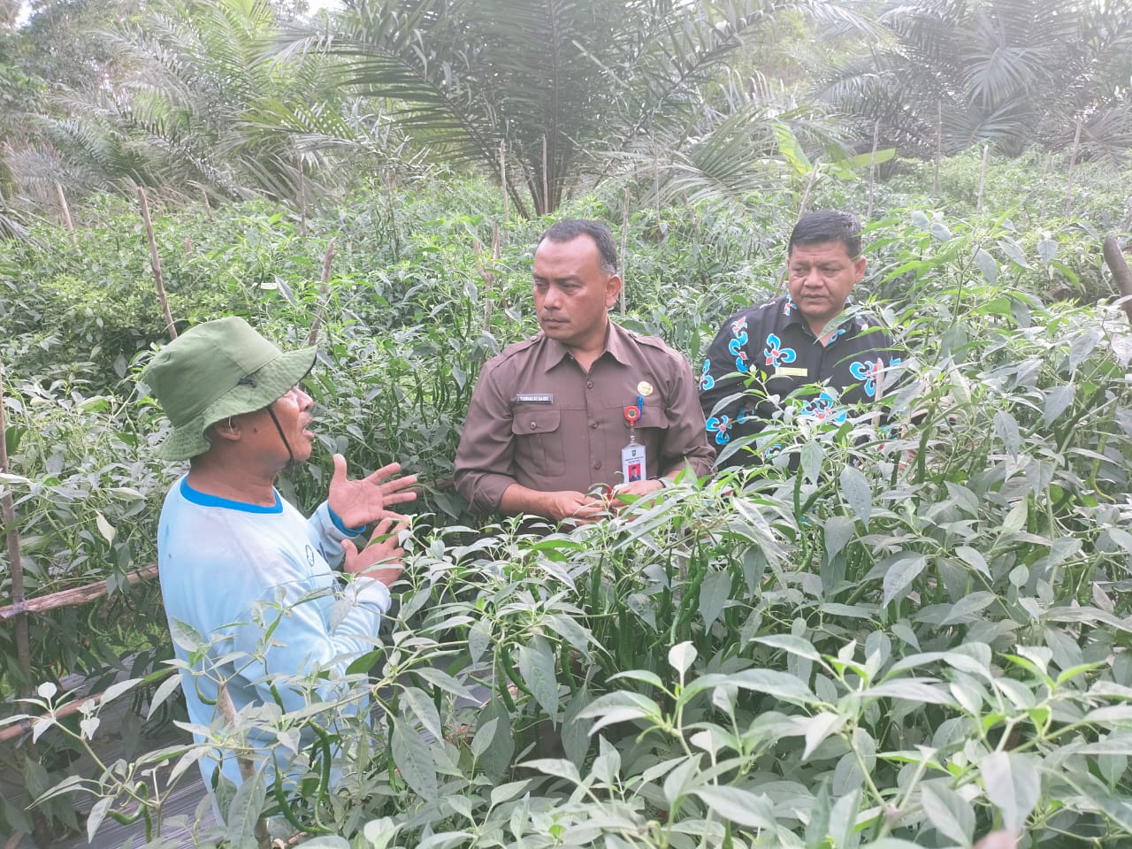 Program Ketahanan Pangan yang Digagas Fahmil Mendapat Apresiasi Dari Staf Ahli Gubri