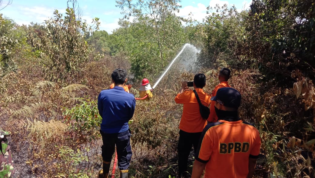 Kebakaran Semak Belukar, Tim Damkar Kembali Berhasil Padamkan Sijago Merah