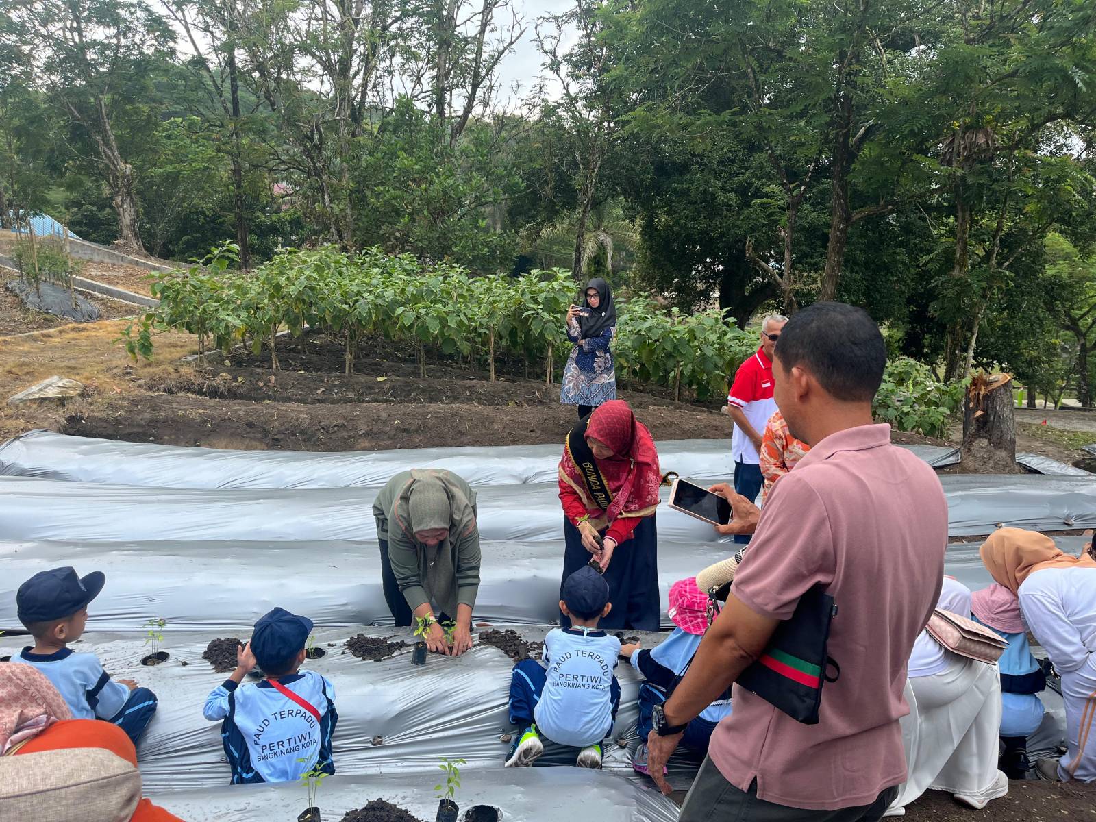 Dipandu Bunda Paud Kampar Ricana Djayanti Hambali, Anak-Anak TK Pertiwi Lakukan Panen Cabe