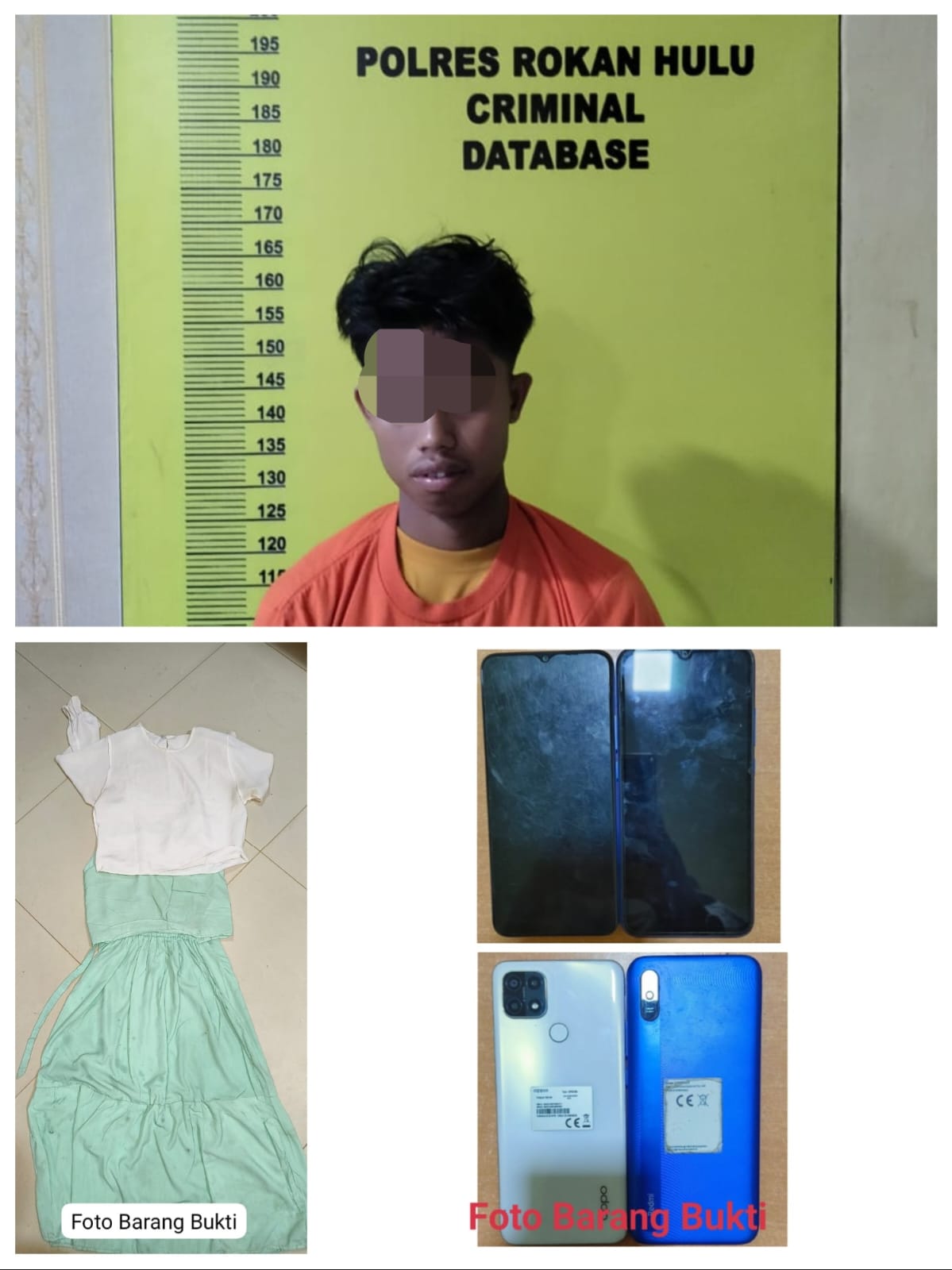 Diduga Cabuli Anak di Bawah Umur, Pria Ini Diamankan Sat Reskrim Polres Rohul