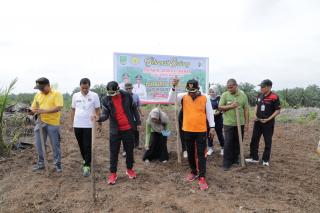 Wabup Rohul Adakan Senam Sehat Sekaligus Penanaman Jagung 10 Hektar Di Desa Sungai kuning