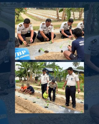 Pembinaan Produktif, Lapas Pangarayan Tanam 850 Terong