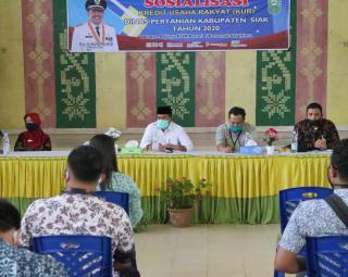 Wujudkan Ketahanan Pangan Pada Masa Convid 19. Dinas Pertanian Kabupaten Siak Lakukan Sosialisasi