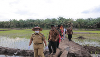 Bupati Sukiman Apresiasi Pemdes Sukadamai Program Cetak Sawah Baru