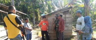 Penyakit Mulut dan Kuku Serang Ternak Warga,15 Sapi Diisolasi
