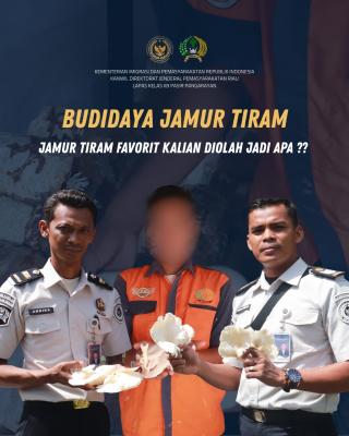 Warga Binaan Lapas Pasir Pangaraian Terus Budidaya Jamur Tiram sebagai Bekal Kemandirian