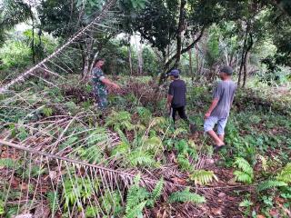 Babinsa Patroli di Areal Rawan Kebakaran Untuk Memastikan Tak Ada  Titik Api