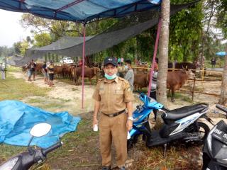 Lakukan Vaksinasi Disbunnakkeswan Kampar Fokus Cegah Jembrana dan Rabies