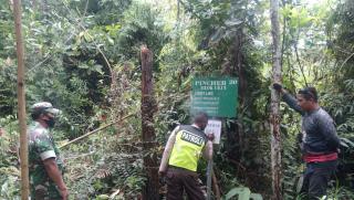 Babinsa Koramil 04/PKL Kuras Susuri Hutan Lindung Antisipasi Karhutla